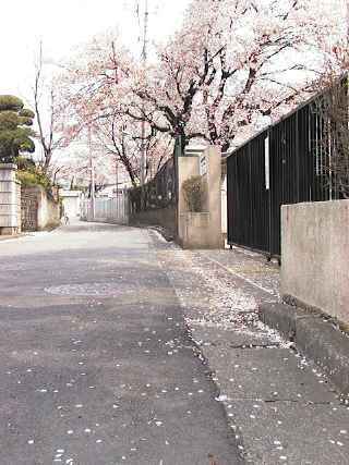 behind the elementary school