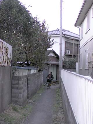 Narrow walkway between houses.
