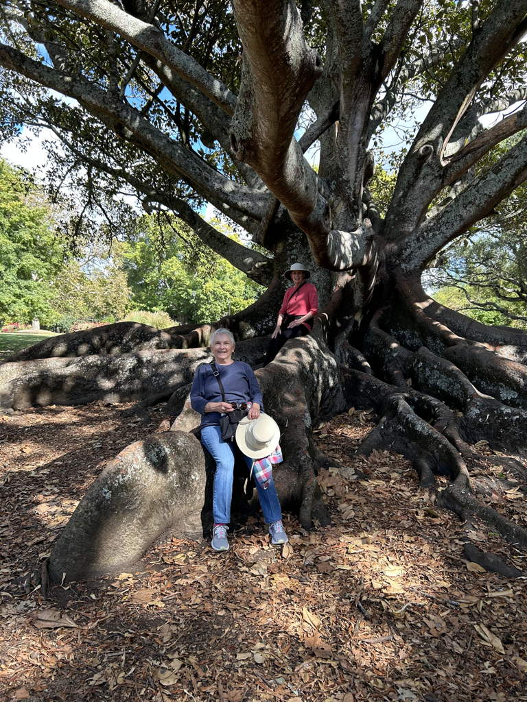 20250324TreeRest