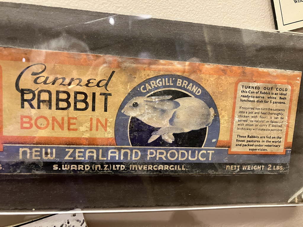 20250414Rabbit